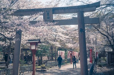 🏯 다이네이지 사찰(다이네이지) 이미지 2